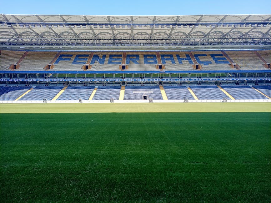 Aziz-Yildirim8217dan-Vincenzo-Montella-Atagi-Fenerbahce-icin-mi-featured